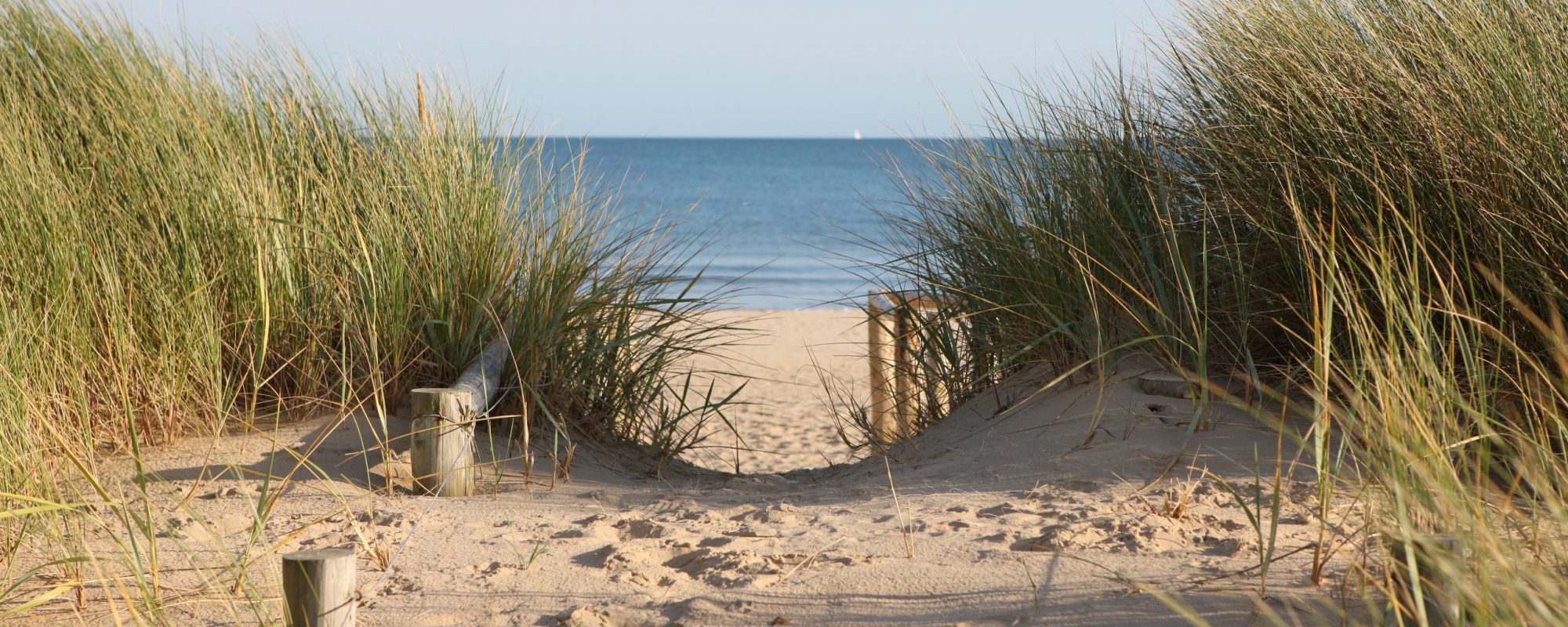 Footpath through sand dunes leading to the beach. Sandbanks beach, Poole, Dorset.